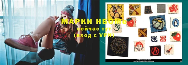 ГАЛЛЮЦИНОГЕННЫЕ ГРИБЫ Абаза