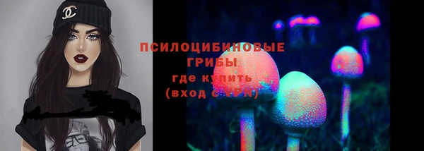 ГАЛЛЮЦИНОГЕННЫЕ ГРИБЫ Абаза