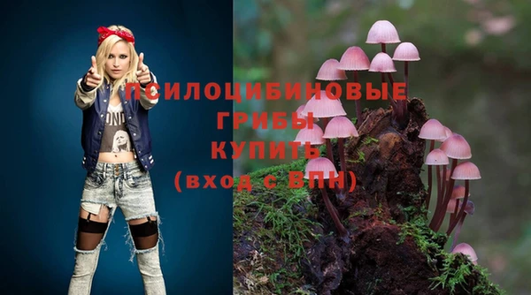 ГАЛЛЮЦИНОГЕННЫЕ ГРИБЫ Абаза