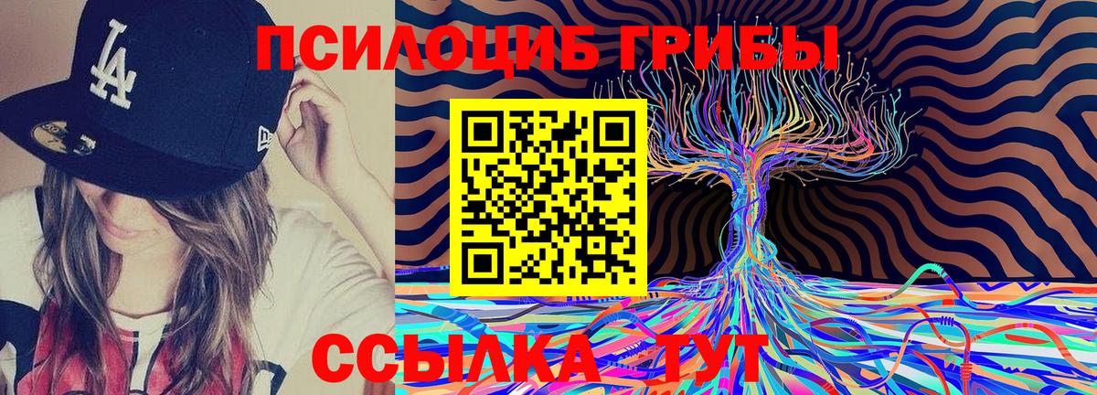 Ростов-на-Дону  Псилоцибиновые грибы Magic Shrooms  Вход с VPN 